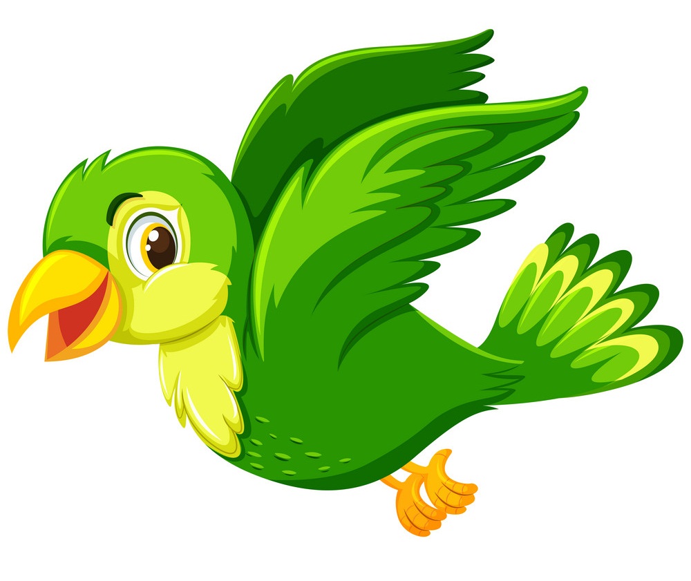 A green bird flying on white background