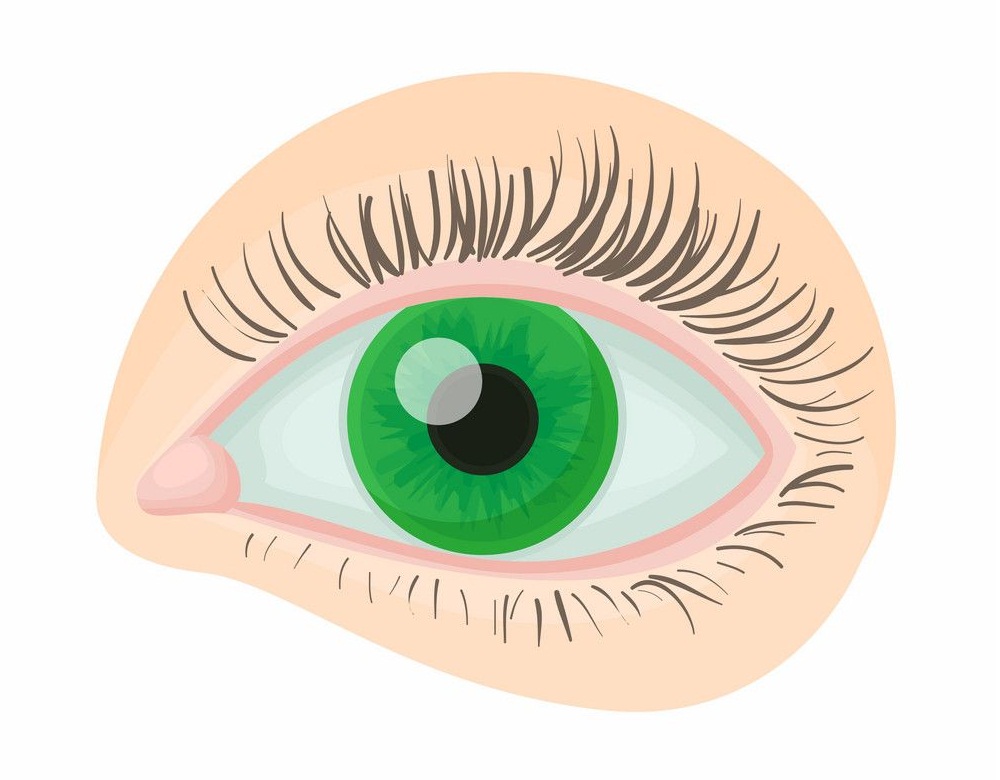 green human eye