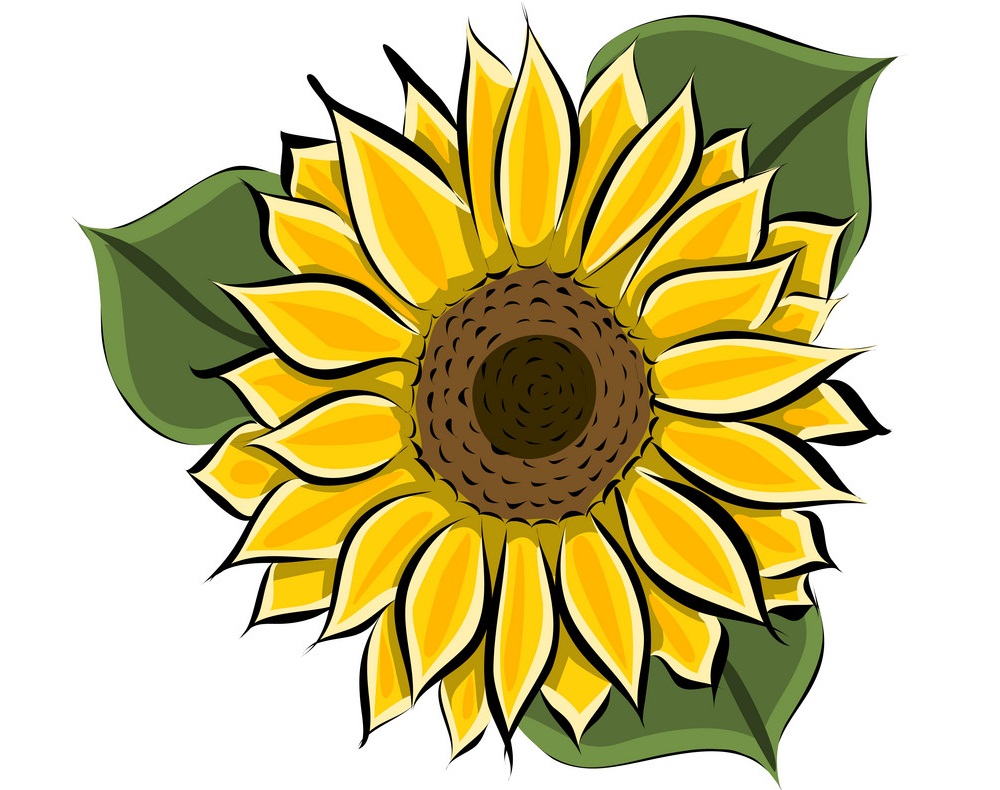 hand drawn yellow sunflower
