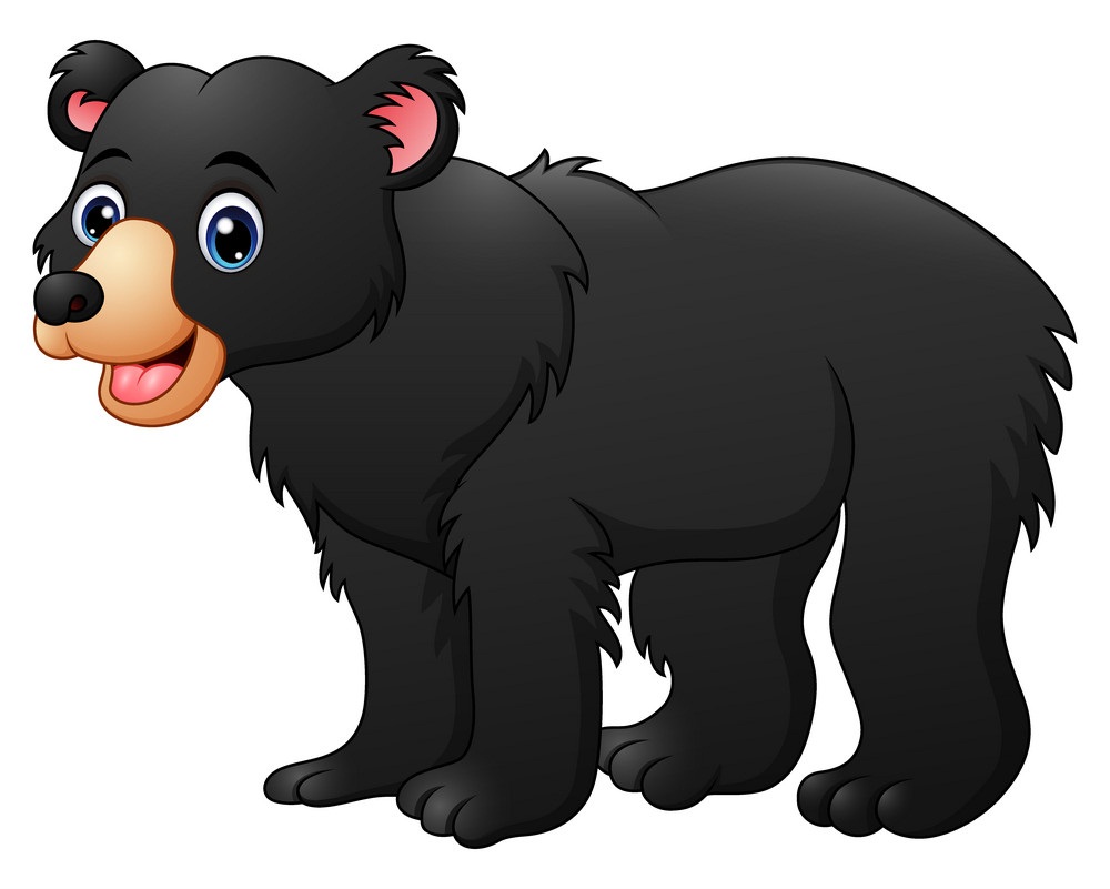 happy black bear