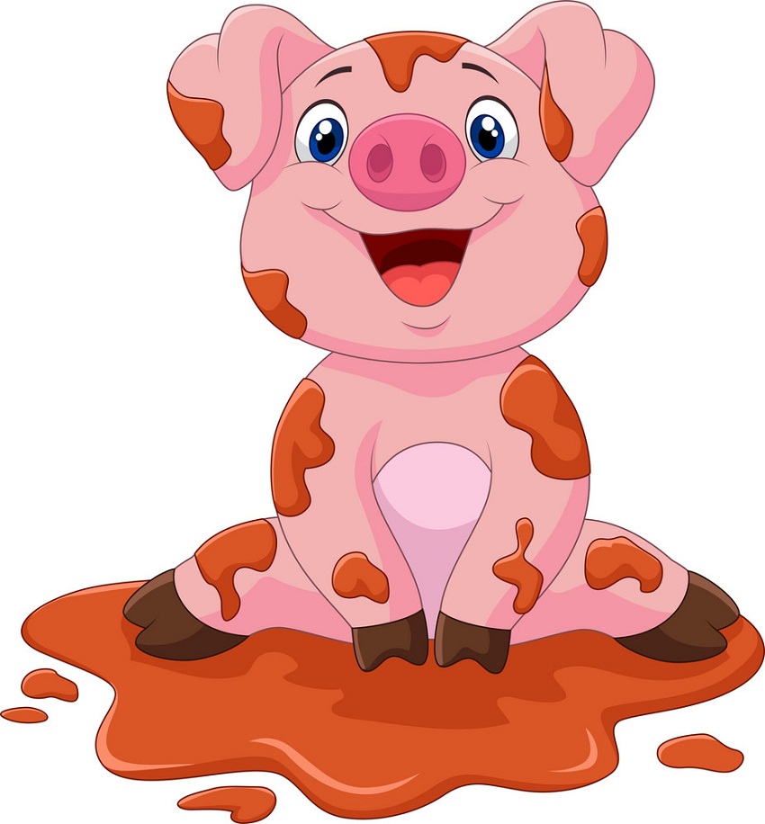 happy pig in the mud