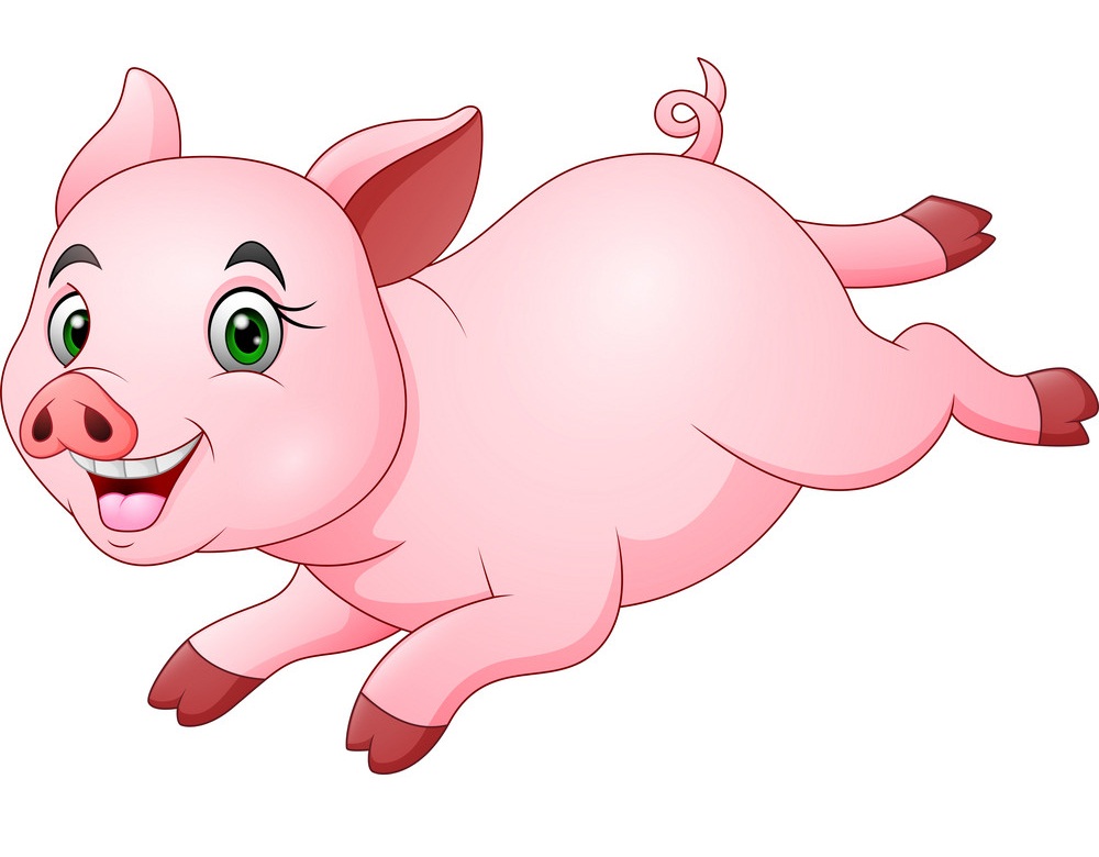 happy pig running