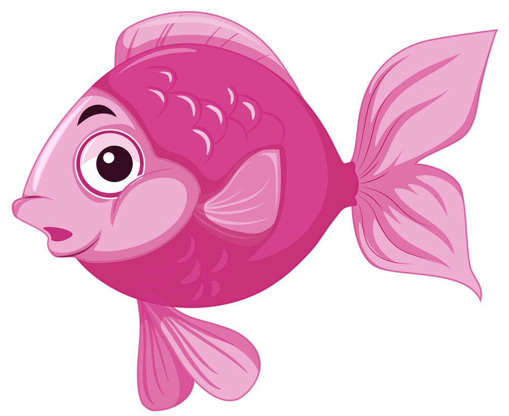 pink fish in water