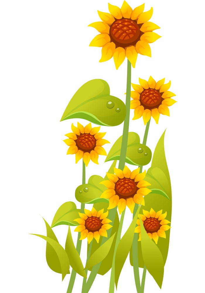 icon sunflowers