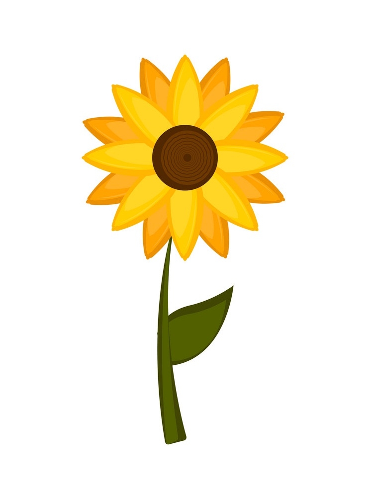 Isolated colored sunflower icon