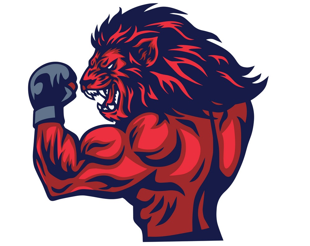 boxing lion