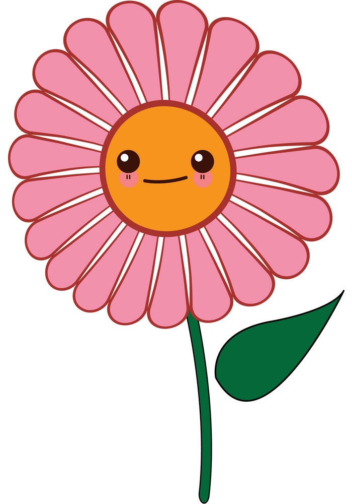 lovely pink daisy