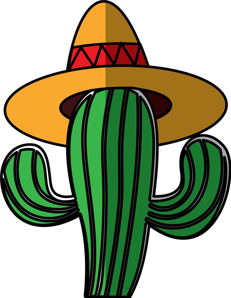 mexican cactus with hat