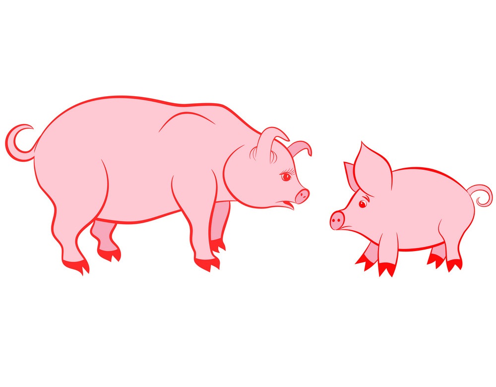 mother pig and baby pink
