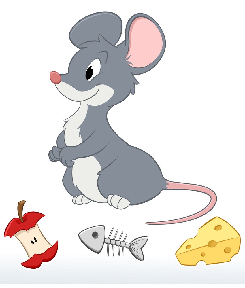mouse and leftovers