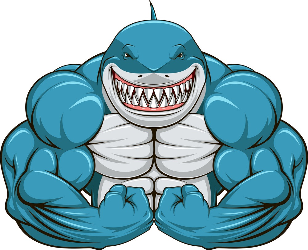 muscle shark