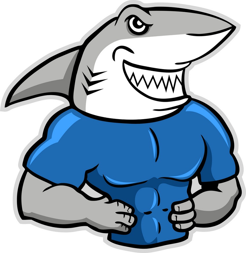 muscular shark