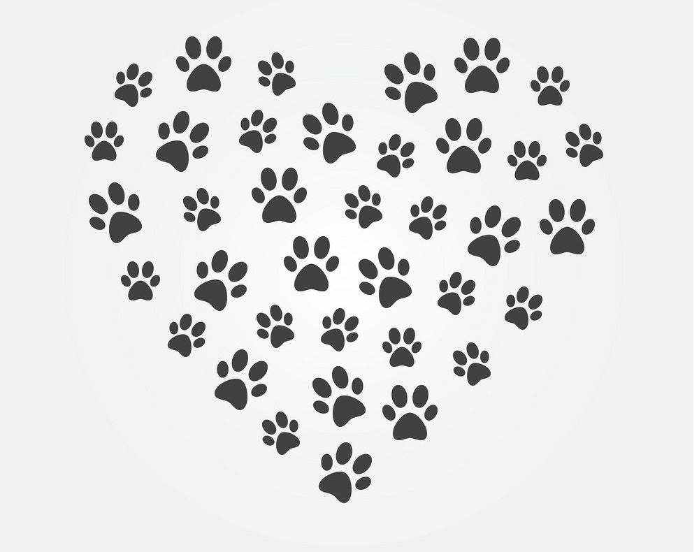 paws print in heart shape