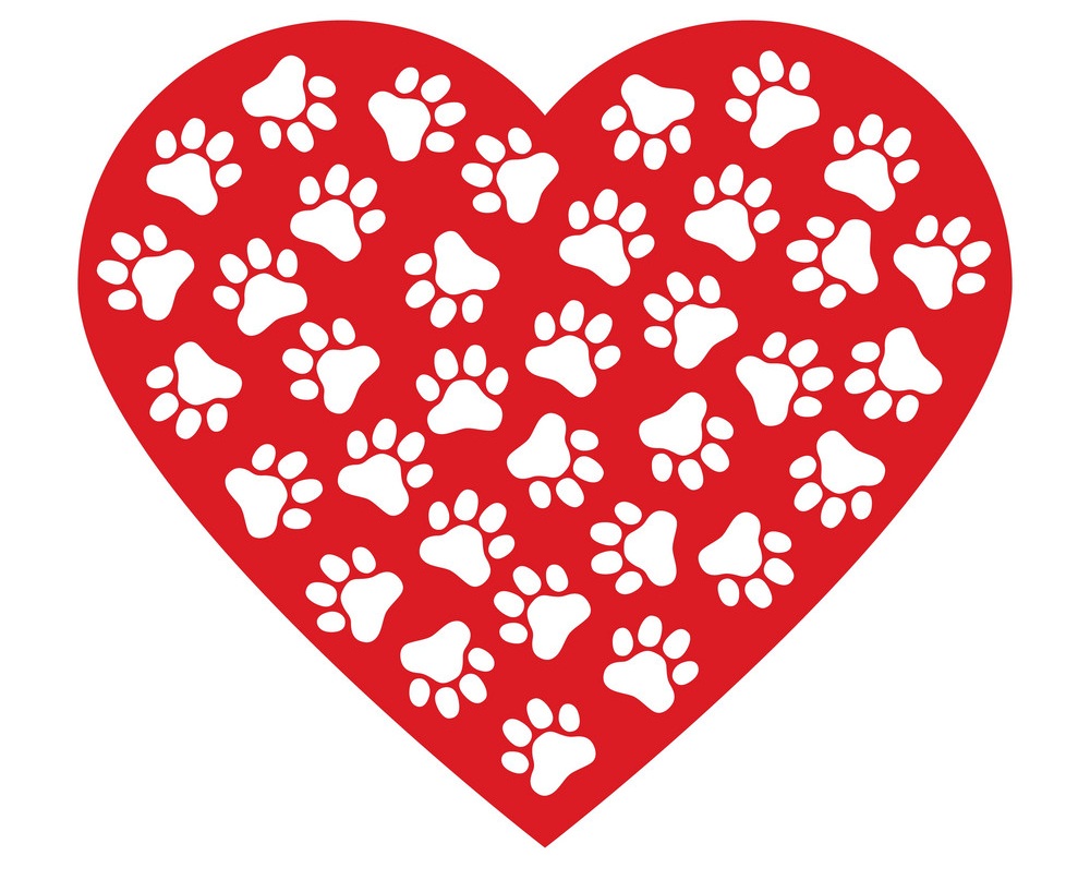 paws print in heart