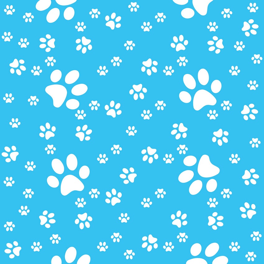 paws print on blue background