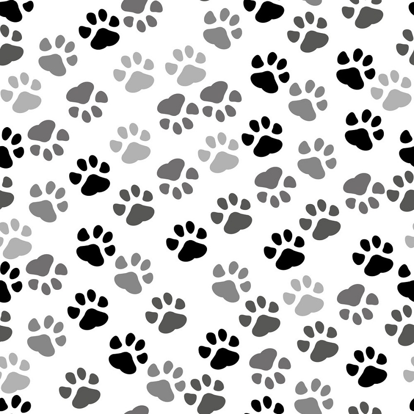 paws print pattern