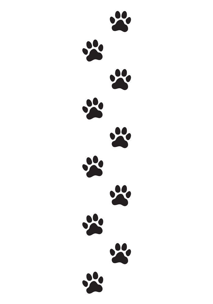 paws print trail