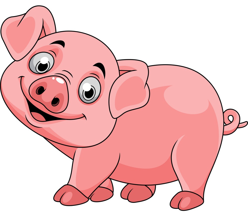 pig is similing