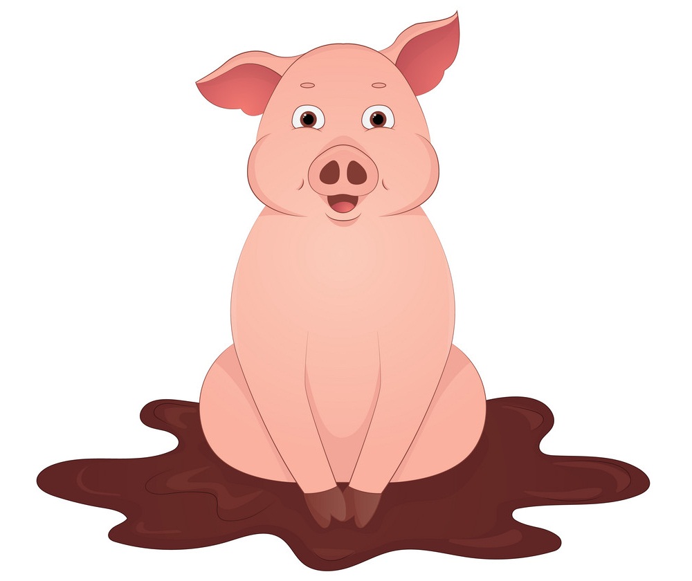 pig sitting in the mud