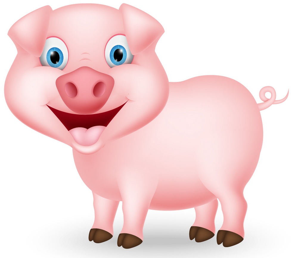 pig smiling 1