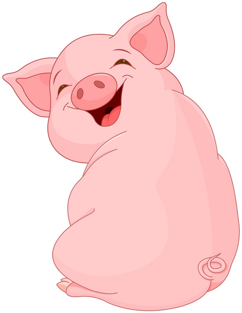 pig smiling
