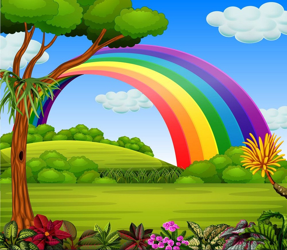 rainbow with garden view