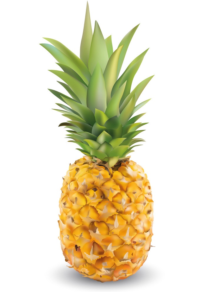 Pineapple Clipart