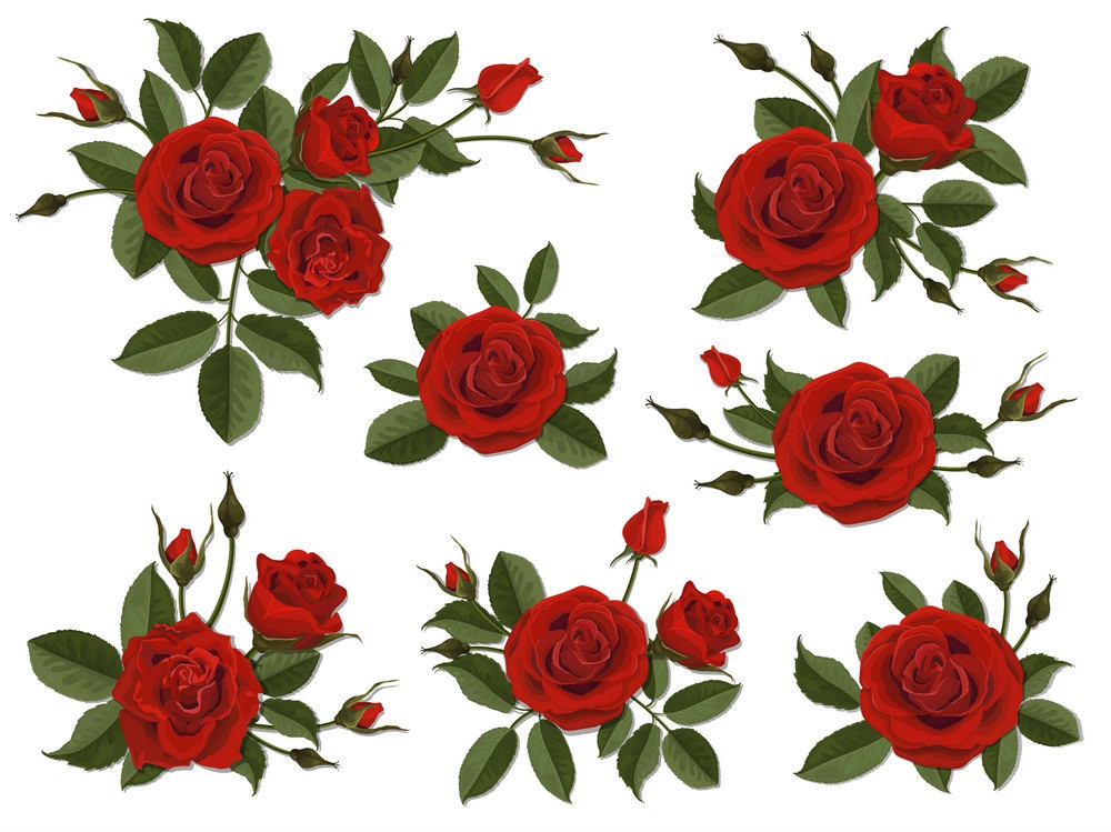 red roses boutonniere set
