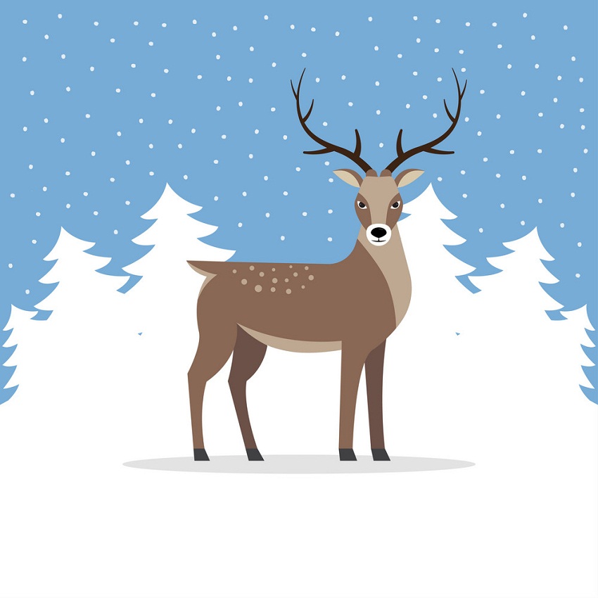 reindeer with snowflake