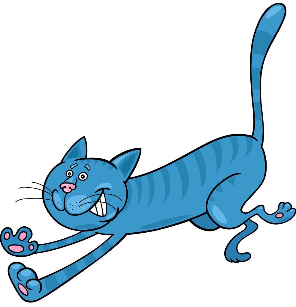 running tabby cat