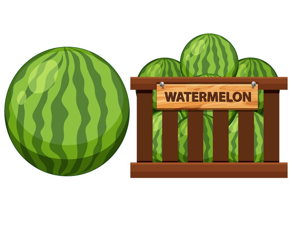 selling watermellons
