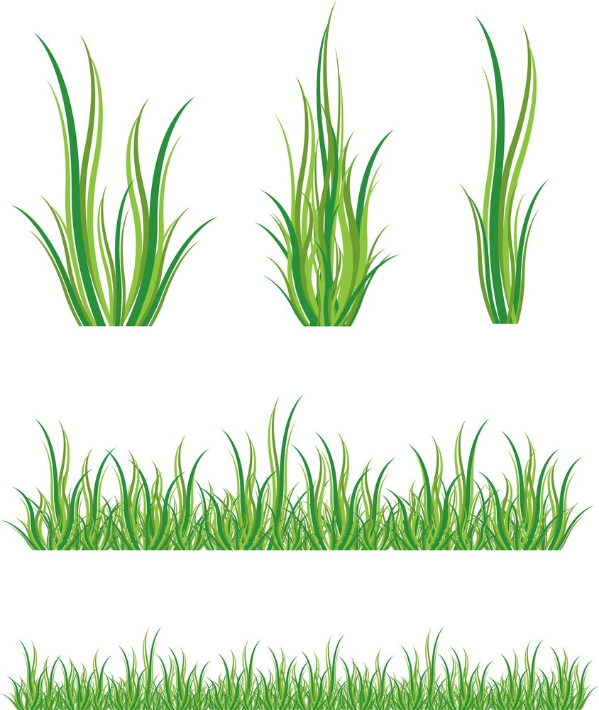set of green grass