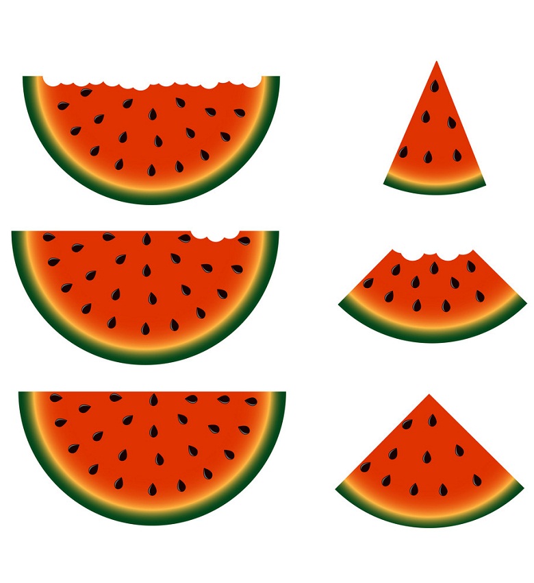 Set of watermelon slices. Vector.
