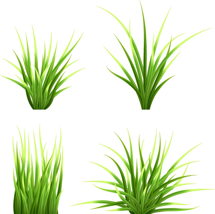 setof realistic grass