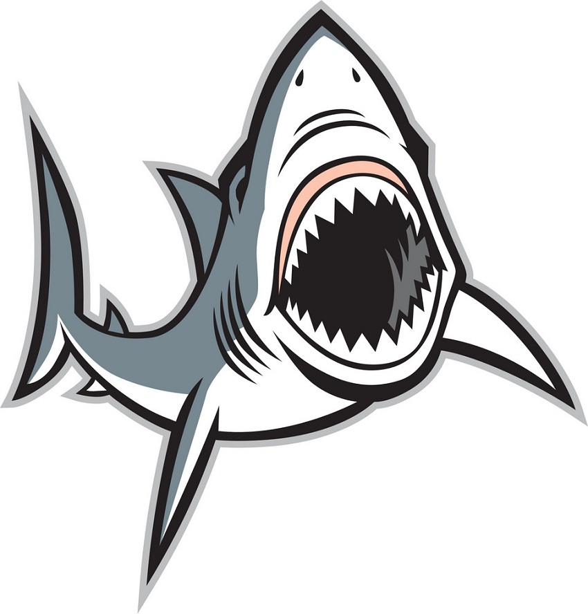 sharp teeth shark