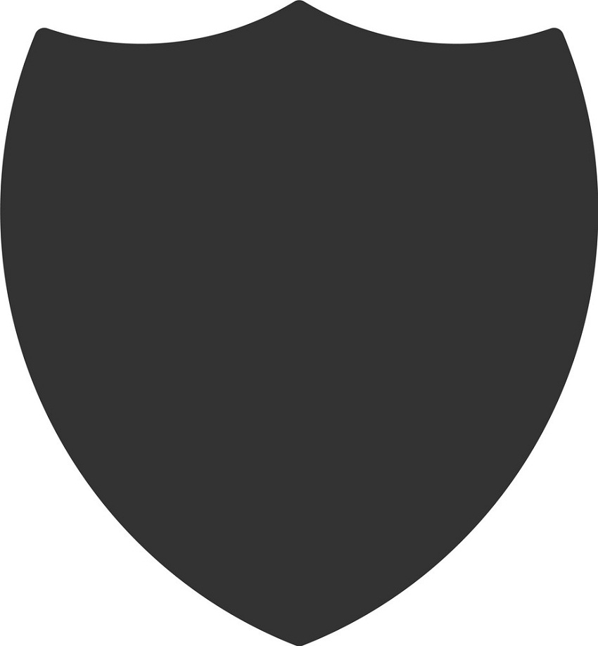 shield flat icon