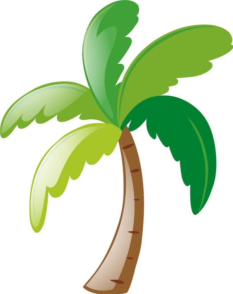 simple coconut palm tree