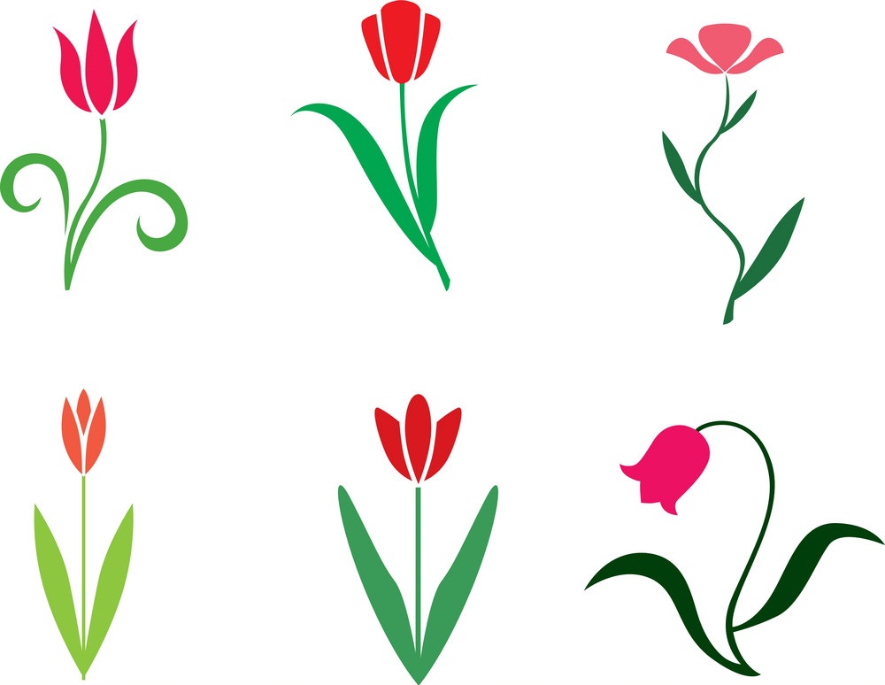 simple tulips set