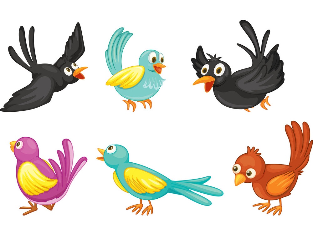 six colorful birds