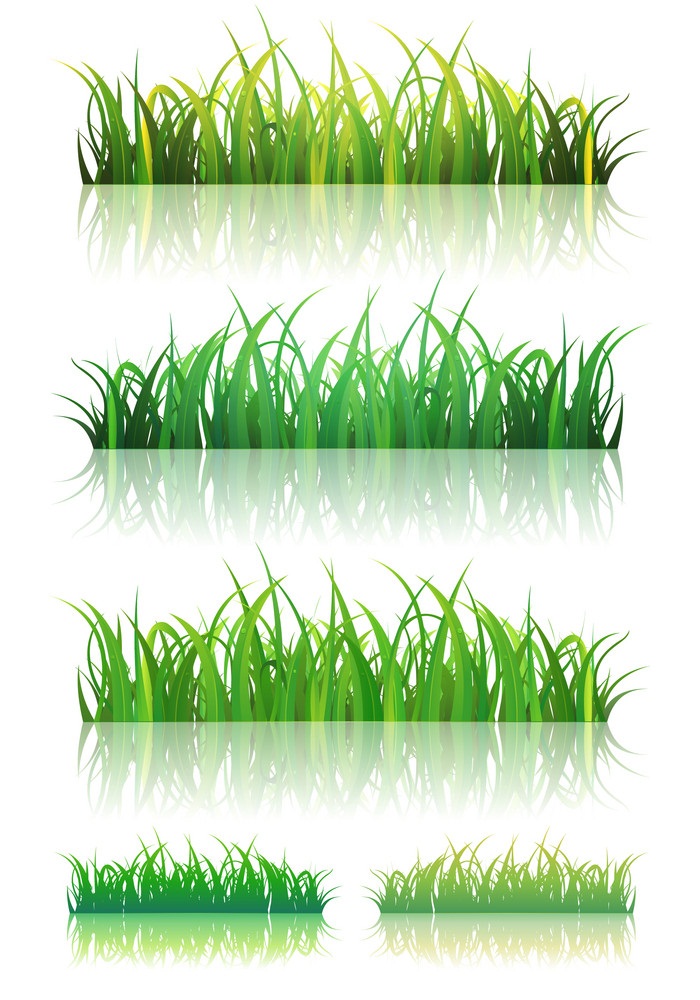 summer green grass