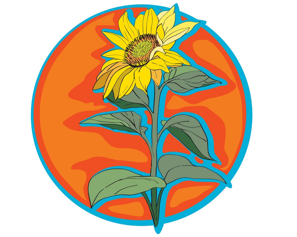 sunflower clip art