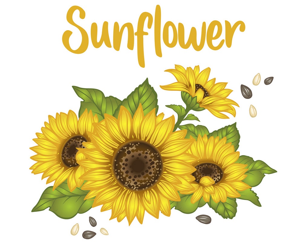 Sunflower card design