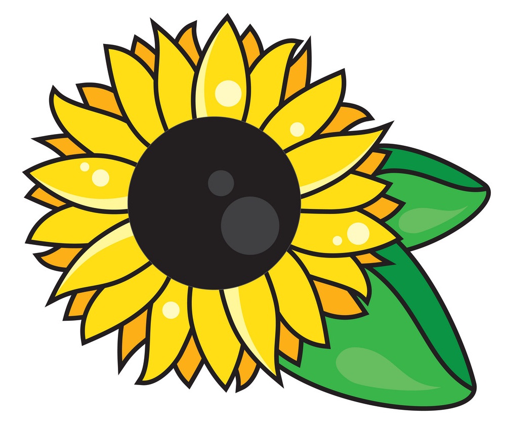 Symbol sunflower with leaves, isolated on white