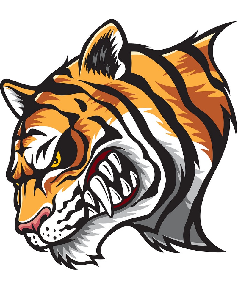 tiger head with sharp teeth