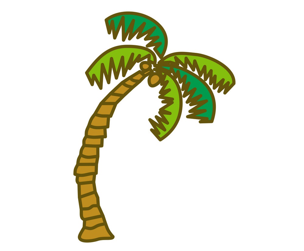 tilted coconut palm tree design