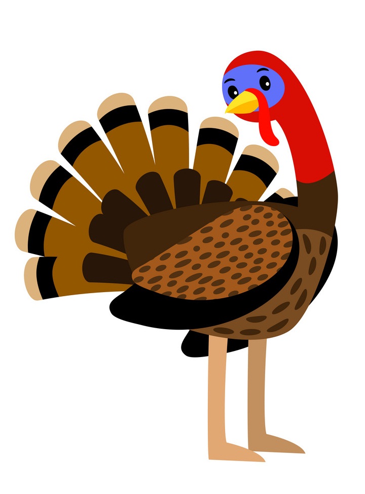 traditional turkey