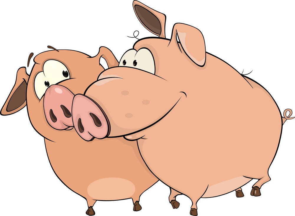 two cartoon pigs
