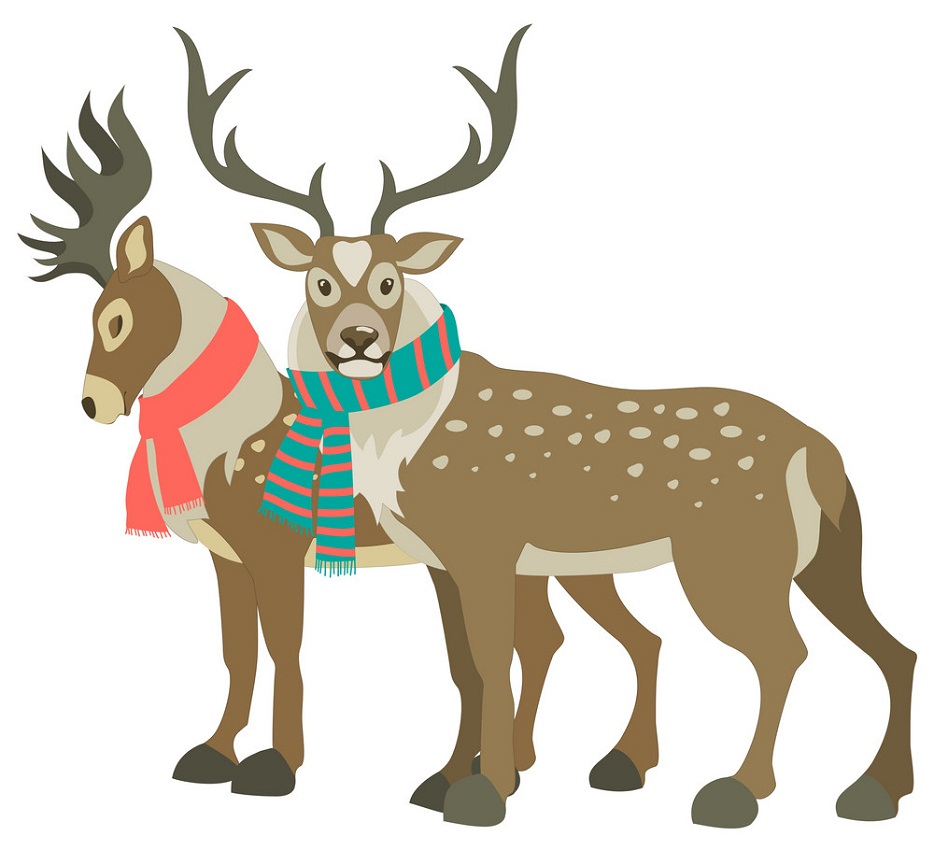 two reindeers with scarfs
