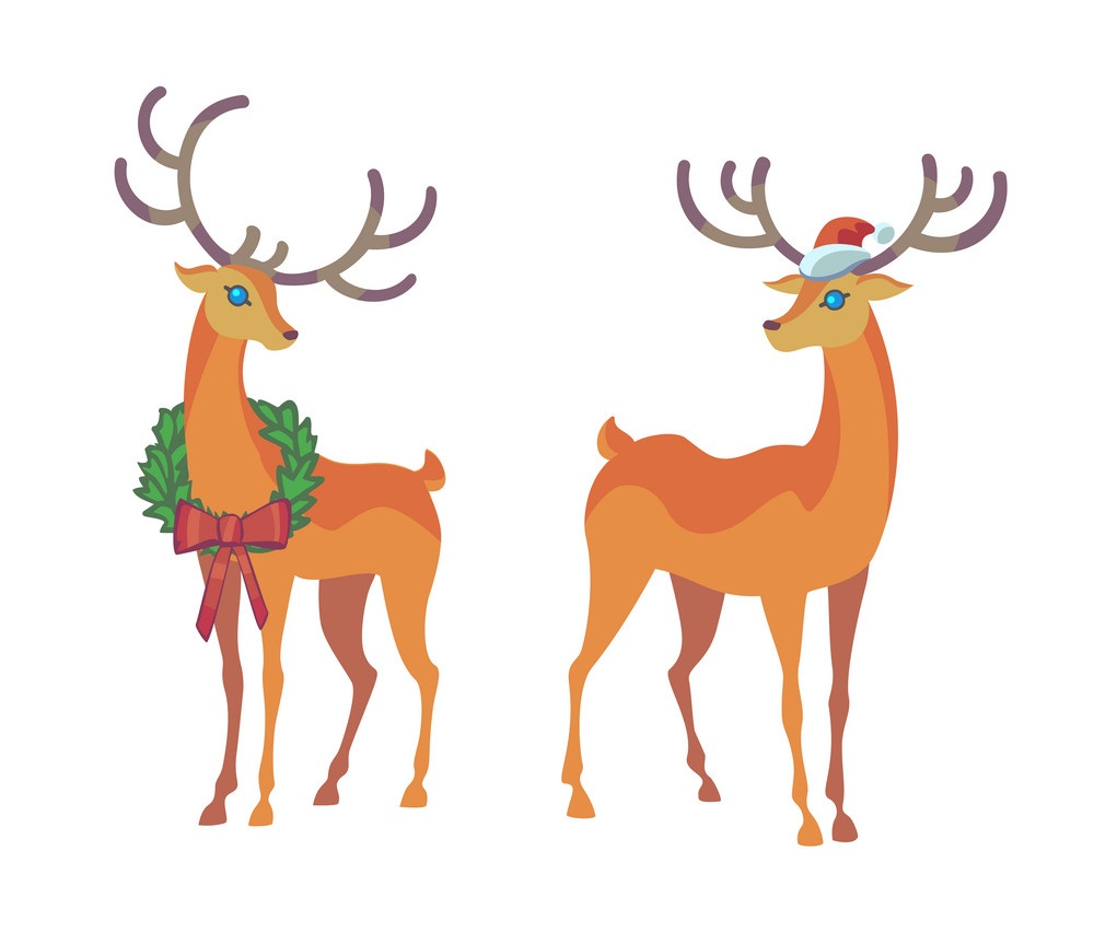 two reindeers
