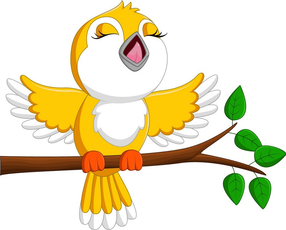yellow bird singing on a branch